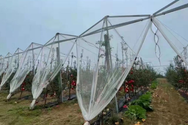 防冰雹网